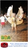 Carnaval Cultural 07.02.16-19