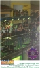 Terca de Carnaval Aracati 25.02.20-176