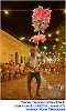 Carnaval Cultural 11.02.24-59