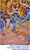 Carnaval Cultural 11.02.24-77